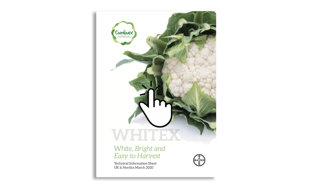 Whitex Technical Information Sheet UK & Nordics March 2020