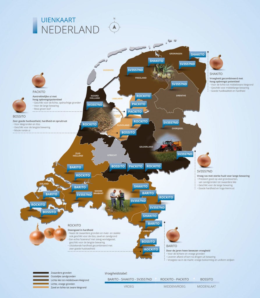 Nederland ui